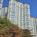 송산로307번길50 이미지