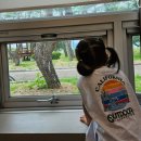 영주축협한우프라자풍기점 이미지