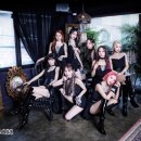 보토패스 카카오 검색결과