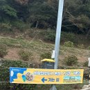 버덩목장 | 거제도 여행 맛집, 거제도 핫도그 맛집, 바람의 핫도그 거제본점, 노랑버덩