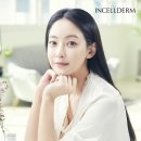 인셀덤시크릿