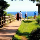 제주 서귀포 외돌개 이미지