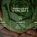 라엘약국 - 수원시 영통구 덕영대로 1545 | 라엘약국