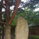 신흥유원지 티스토리