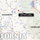 금화애견 이미지