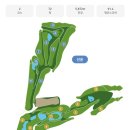 골프존카운티선운 | 골프존카운티선운CC라운딩후기