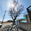 대계마을 이미지