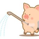 공항축산