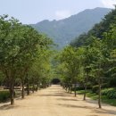 문경새재 도립공원 이미지