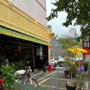 메오메오 | 울산 중구 맛집 태화강국가정원 베트남쌀국수 메오 내돈내산 후기