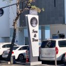 씨앤트리(Sea&Tree) 이미지