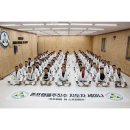 팀혼주짓수