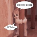 인더플랜