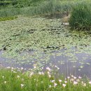 울릉천국 아트센터 이미지