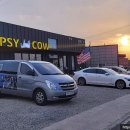 팁시카우 이미지