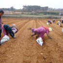 서산시농업기술센터 이미지