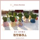 초당작은도서관 강의실 | 도서관 원데이클래스 힙팟 만들기 외부출강 후기