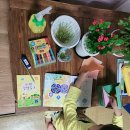 기품태권도 이미지