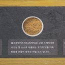 삼백문구 이미지