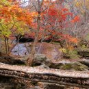 장성삼거리 이미지