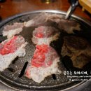 차돌풍 이미지