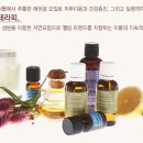 웰빙테라피 - 동해시 감추7길 41 | 웰빙테라피
