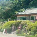 강촌민박 | 인제자작나무숲에서 만나는 맛있는 한끼와 자연의 멋진 만남이 이뤄지는 청기와맛집 후기