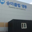 승마클럽 영풍 이미지