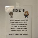 제주 스테이한강 | 제주 구좌 평대리 숙소 책 닦는 남자 북스테이 게스트하우스 1인실 후기