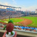 다사랑치킨피자봉동점 | 7월 3일 한화이글스 대전 신축 한화볼파크 야구 경기 직관 후기