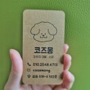 코즈몽 이미지