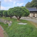 당진시 교동2길 33-18 이미지