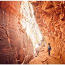 태백 행정사사무소 이미지