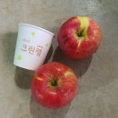 맛있는 사과 아리수 가정용&거창 꼬마 홍로사과!!!!! 이미지