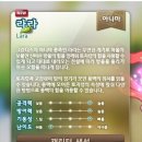 라라밸런스 이미지