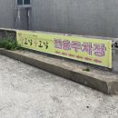 한꼬막두꼬막본관 네이버블로그