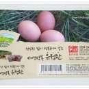 심다누팜 이미지