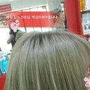 에쉬헤어샾 이미지