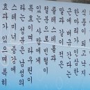 원조갯마을낙지 이미지