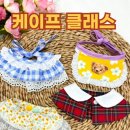 뚜뚜애견 이미지