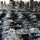 로또수산 이미지