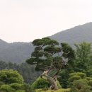 한국소나무집 이미지