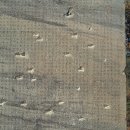 충주시립도서관 | 코스 : 정토사지법경대사비 · 청룡사보각국사비 · 악어봉 · 활옥동굴 · 시장구경 · 충주시립도서관