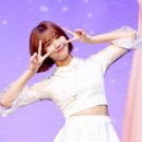 미미록 이미지