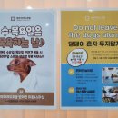 영무 파라드 호텔 이미지