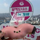 말똥도넛 | 동해 묵호 논골담길 말똥도나스 갈매기도넛 솔직 후기