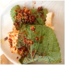 형산강횟집 이미지