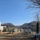그린카페레스토랑 | (남양주 대형카페) 아유스페이스 외곽 브런치 레스토랑 방문후기