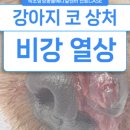 인제메디컬센터 이미지