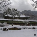 불광2-009 Daum카페